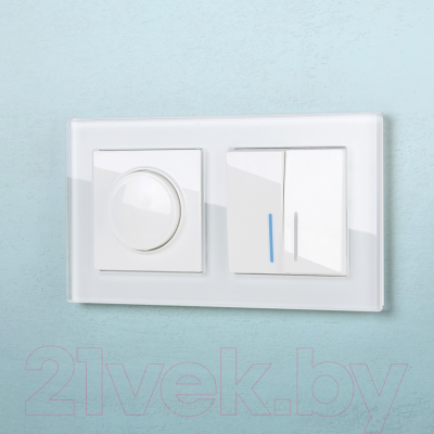 Выключатель Werkel W1122101 / a051112