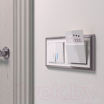 Выключатель Werkel W1122101 / a051112