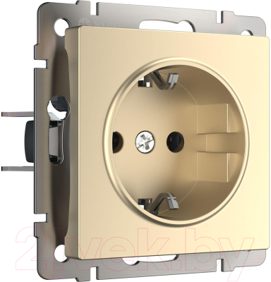 Розетка Werkel W1171011 / a050867 - фото