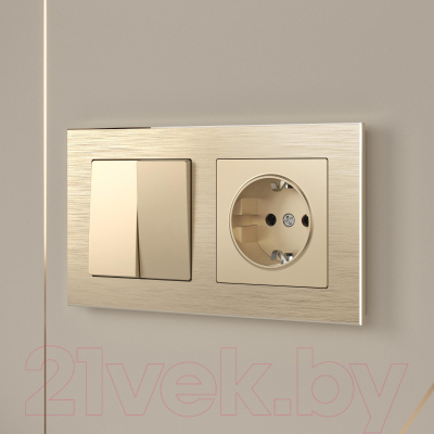 Розетка Werkel W1171011 / a050867