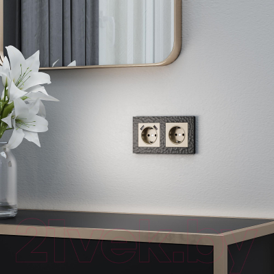 Розетка Werkel W1171011 / a050867