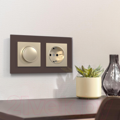 Розетка Werkel W1171011 / a050867