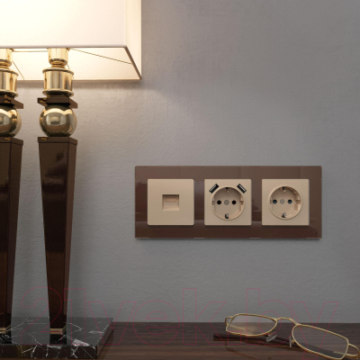 Розетка Werkel W1171011 / a050867