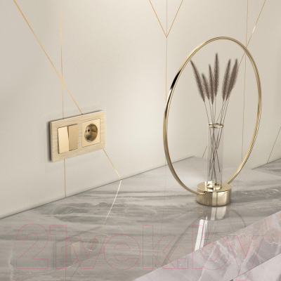 Розетка Werkel W1171011 / a050867