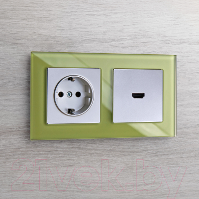 Розетка Werkel W1171106 / a051519