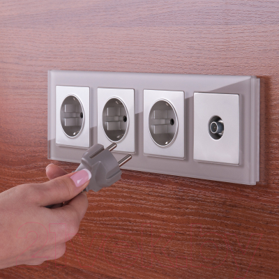 Розетка Werkel W1171106 / a051519