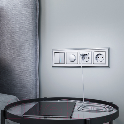 Розетка Werkel W1171106 / a051519