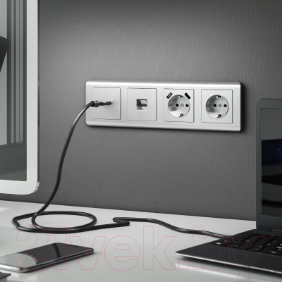 Розетка Werkel W1181009 / a051360