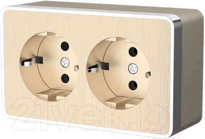 Розетка Werkel Gallant W5072110 / a051037 - фото