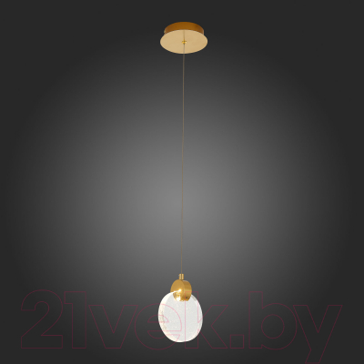 Потолочный светильник ST Luce Montecelio SL6104.203.01