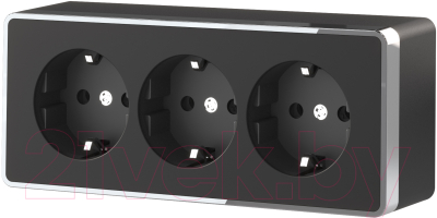 Розетка Werkel Gallant W5073135 / a052592 - фото