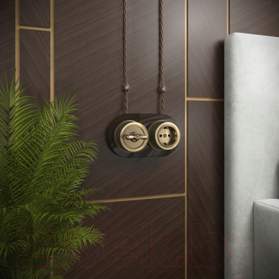 Розетка Werkel Ретро WL19-10-01 / a044918