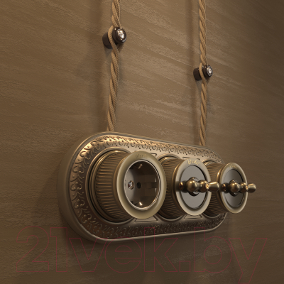 Розетка Werkel Ретро WL19-10-02 / a044920