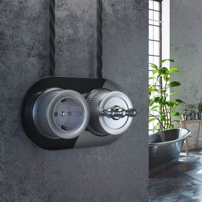 Розетка Werkel Ретро WL19-10-02 / a044924