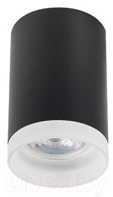 Потолочный светильник ST Luce ST100.402.01 - фото