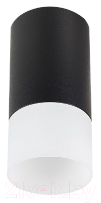 Потолочный светильник ST Luce ST100.412.01 - фото