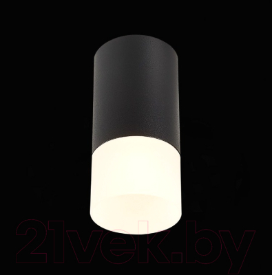 Потолочный светильник ST Luce ST100.412.01