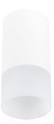 Потолочный светильник ST Luce ST100.512.01 - фото