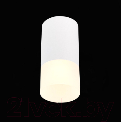 Потолочный светильник ST Luce ST100.512.01