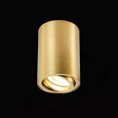 Потолочный светильник ST Luce ST108.207.01