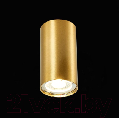 Потолочный светильник ST Luce ST110.207.01