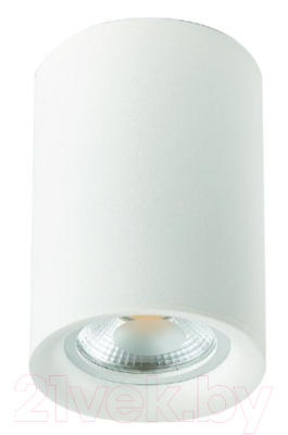 Потолочный светильник ST Luce ST114.507.01 - фото