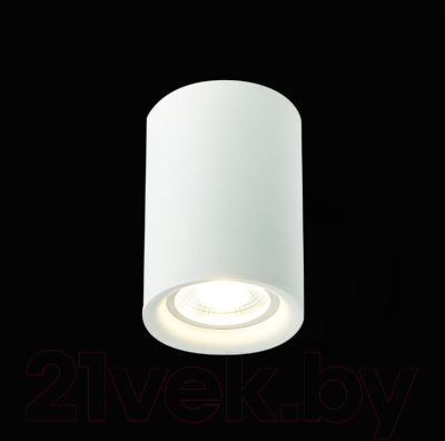 Потолочный светильник ST Luce ST114.507.01