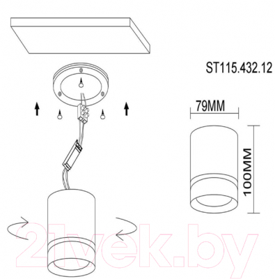 Потолочный светильник ST Luce ST115.432.12