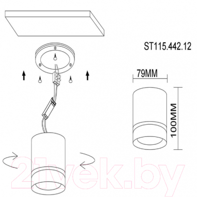Потолочный светильник ST Luce ST115.442.12