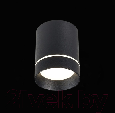 Потолочный светильник ST Luce ST115.442.12