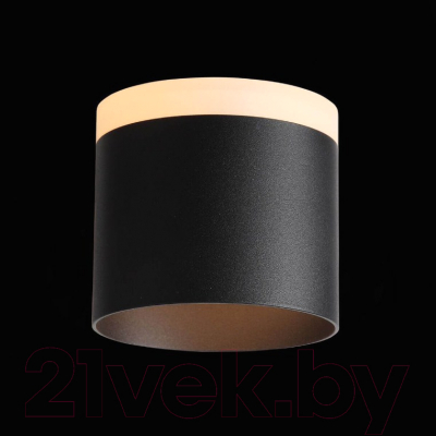 Потолочный светильник ST Luce Panaggio ST102.402.12