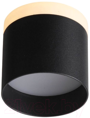 Потолочный светильник ST Luce Panaggio ST102.402.12