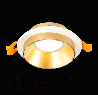 Точечный светильник ST Luce ST206.258.01