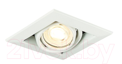 Точечный светильник ST Luce ST250.558.01