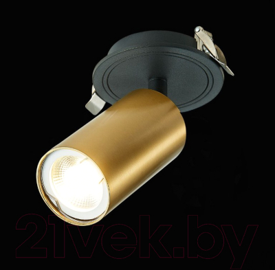 Точечный светильник ST Luce ST303.208.01