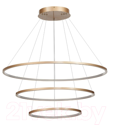 Потолочный светильник ST Luce ST603.243.114 - фото