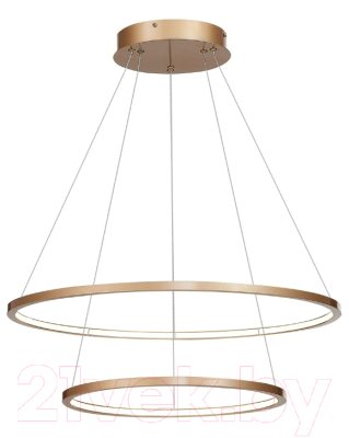 Потолочный светильник ST Luce ST603.243.56