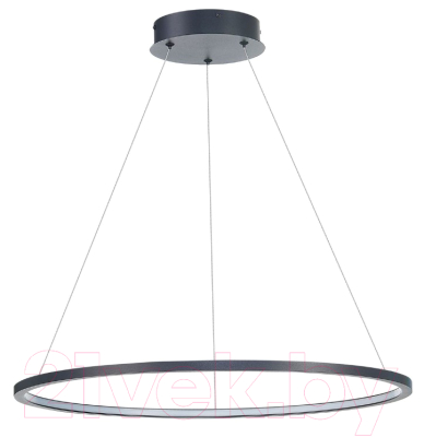 Потолочный светильник ST Luce ST603.443.34 - фото