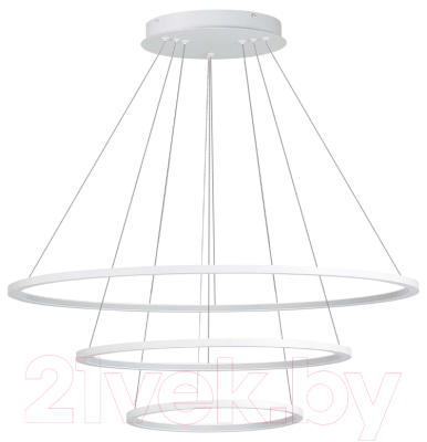 Потолочный светильник ST Luce ST603.543.114 - фото