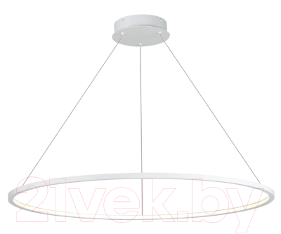 Потолочный светильник ST Luce ST603.543.46