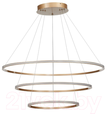 Потолочный светильник ST Luce ST604.243.114 - фото