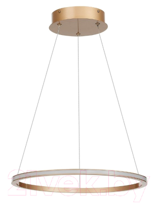 Потолочный светильник ST Luce Out ST604.243.22 - фото