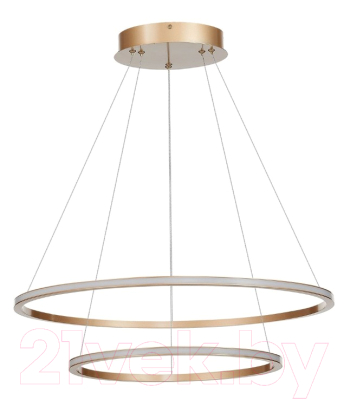 Потолочный светильник ST Luce Out ST604.243.56 - фото