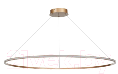 Потолочный светильник ST Luce Out ST604.243.57 - фото