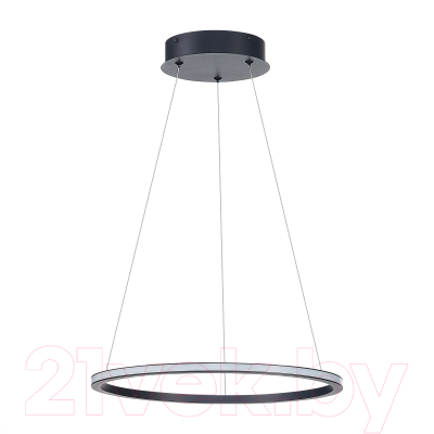 Потолочный светильник ST Luce Out ST604.443.22 - фото