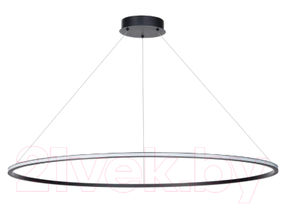 Потолочный светильник ST Luce Out ST604.443.46 - фото