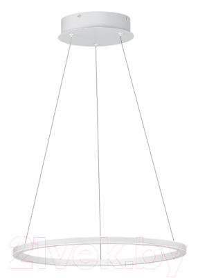 Потолочный светильник ST Luce Out ST604.543.22 - фото