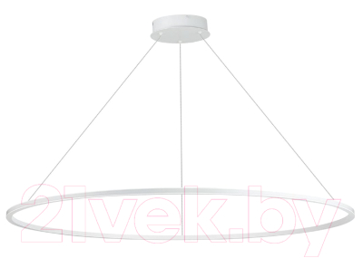 Потолочный светильник ST Luce Out ST604.543.46 - фото