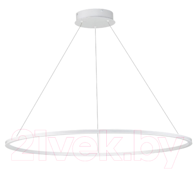 Потолочный светильник ST Luce Out ST604.543.57 - фото