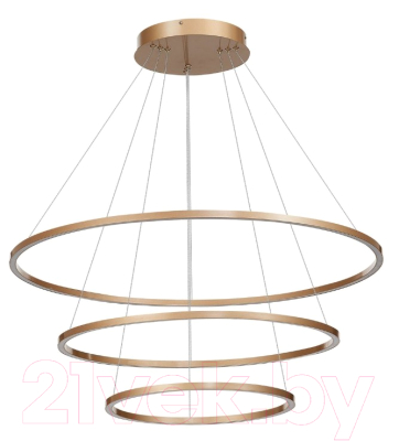 Потолочный светильник ST Luce Down ST605.243.114 - фото